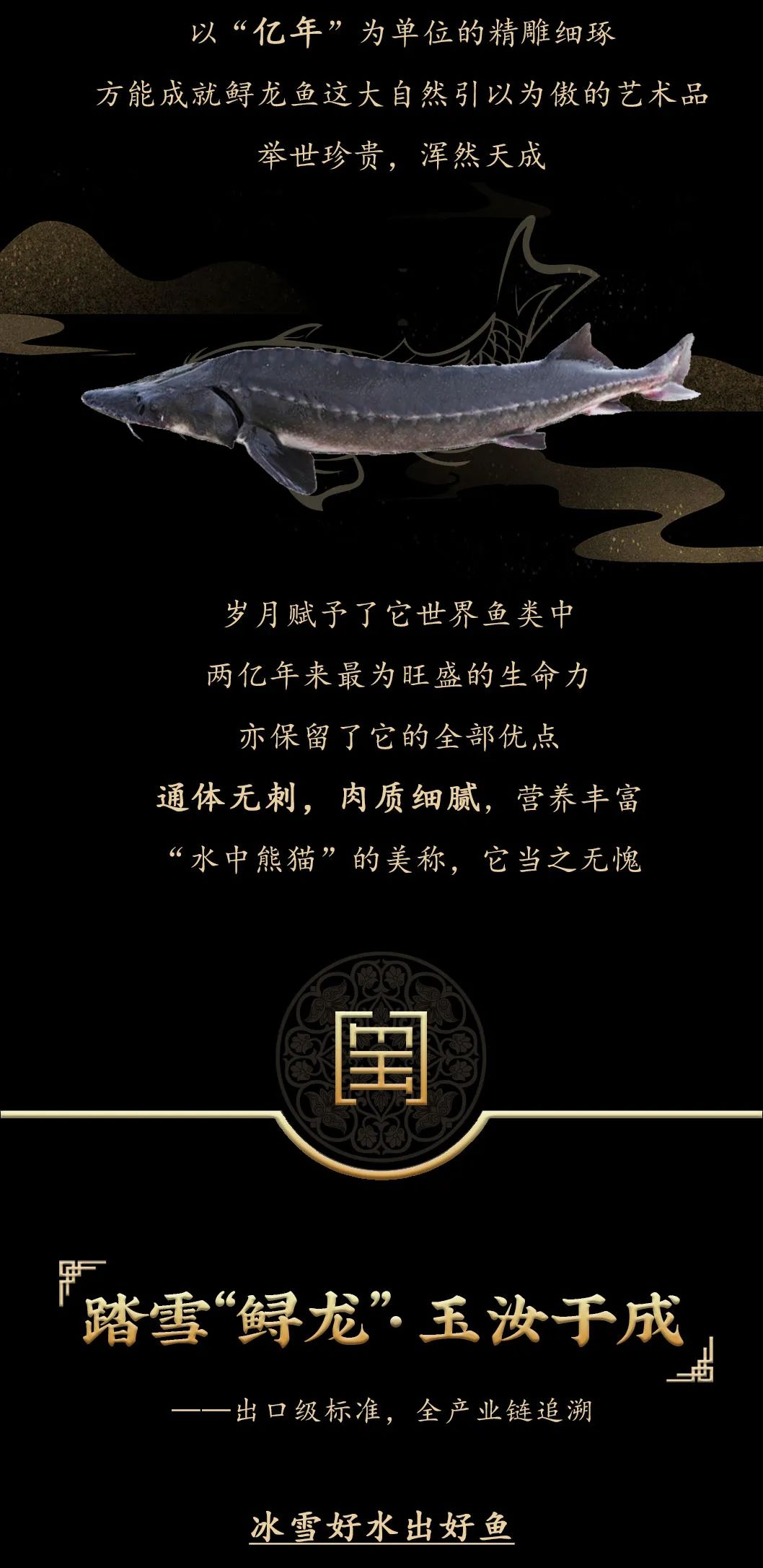 九州鱘龍魚片上新 | 自然臻藏，獻給吃魚有講究的人